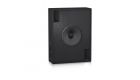 DCS115B Loa Sub 40 cinema Tannoy